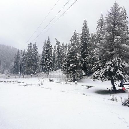 Вила Перика-Vila Perika Борино Екстериор снимка